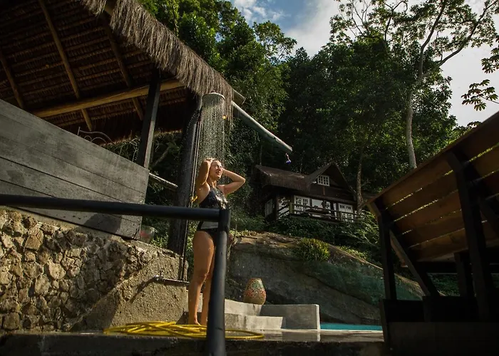 Rain Forest Paradise